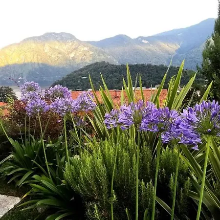 Apartamento Magic Garden With Jacuzzi-pool And Luxury View Lenno